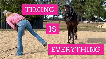 How To Use a Marker In Horse Training: Beginners Guide Positive Reinforcement | LaraCoventryCox.com