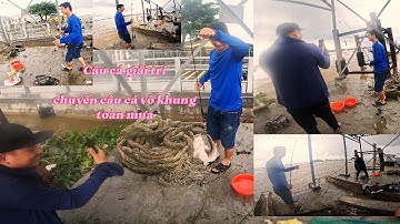 Câu Cá Giải Trí Câu Cá Tự Nhiên   | Triệu Hồ TV   レクリエーションフィッシング 自然釣り | Trieu Ho TV