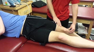 Hip Palpations and MMT