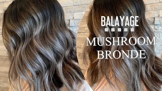 BALAYAGE | MUSHROOM BRONDE | Application + Formulation screenshot 3