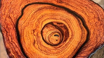 GL gốc cẩm chỉ krôngpa đặc tịt tinh lõi chun sụn 21kg đục đẽo các kiểu ạ