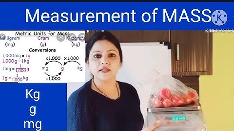 CBSE/ ICSE class 3 Maths chapter 11 measurement of MASS video no 1