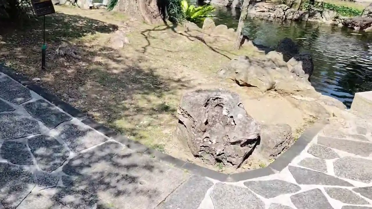 沖縄県那覇市【福州園】🪷OkinawaJapanWalk2026年2月19日（木曜日）正午過ぎ撮影🌷🌻🏵️🪻🪷