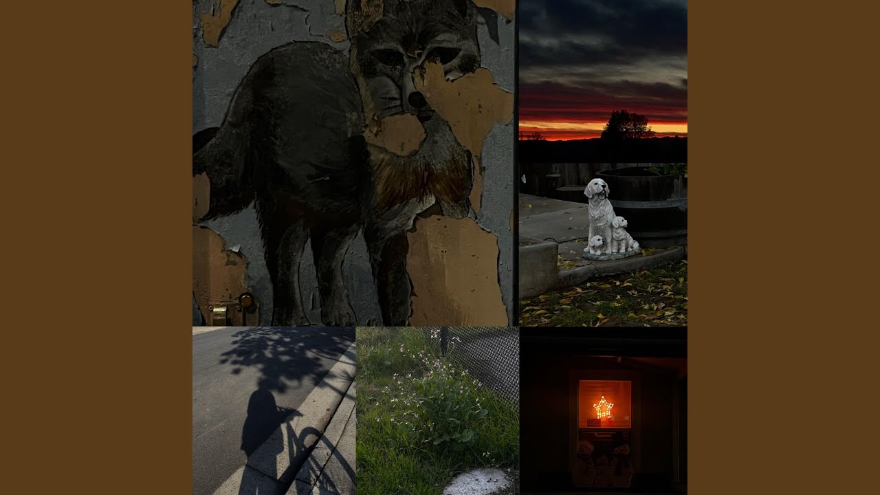 Watch pine on YouTube Watch pine on YouTube