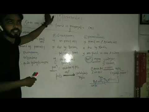 Microbodies (glyoxysomes and peroxisomes) - YouTube