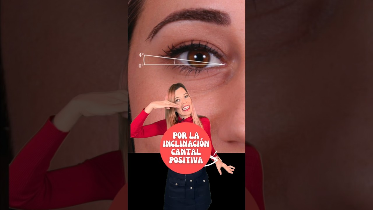 FOXY EYES: LAS 4 TÉCNICAS  