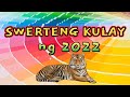 MGA SWERTENG KULAY NG 2022 YEAR OF WATER TIGER