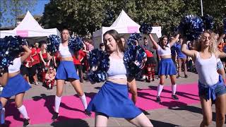 TEASER IPSA TOULOUSE | GARONA CUP 2017