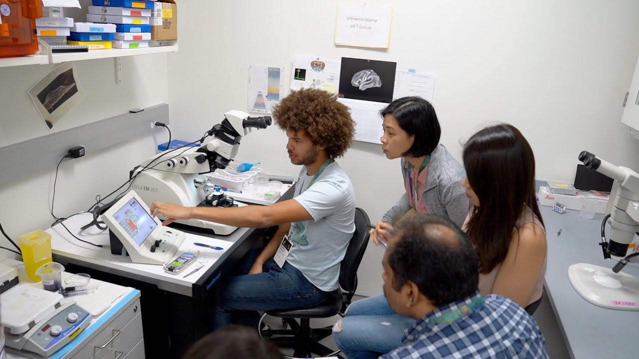 Advanced Neuroimaging Course 2020 YouTube