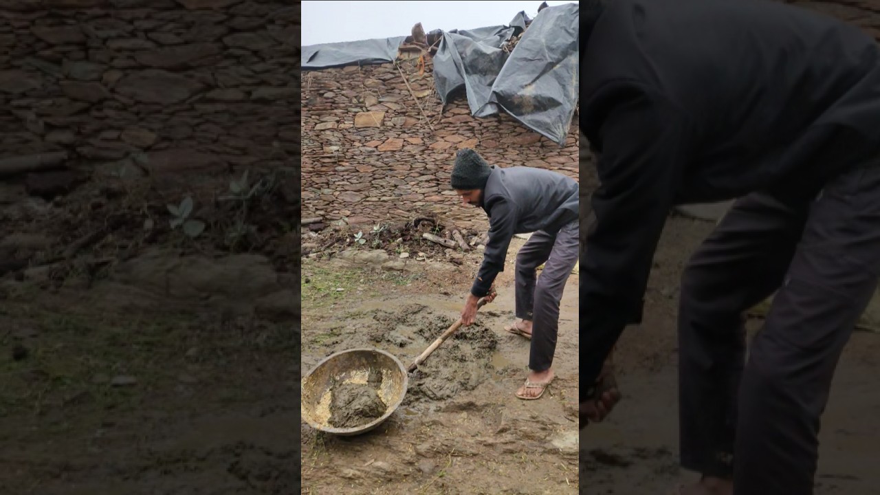 घर में सफाई, family vlogs, buffalo vlogs, buffalo milk dairy vlogs#cow #baffalo #2026 #buffalomilk