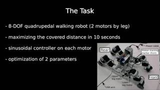 The Transferability approach: case of a quadrupedal walking robot