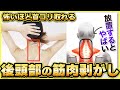 【首コリ】自律神経の乱れが原因!?首の後ろが辛い時にやってほしいセルフマッサージ【後頭下筋はがし】
