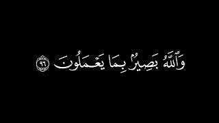 ولتجدنهم أحرص الناس على حياة ومن الذين/سورة البقرة أية(96-98)#كرومات#شاشة_سوداء#الشيخ_ياسر_الدوسري