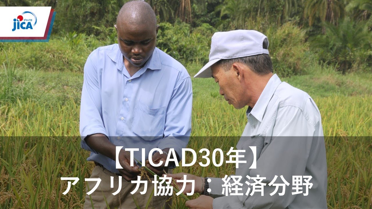 アフリカ】TICAD30年とアフリカ協力：経済分野の主な取り組みと