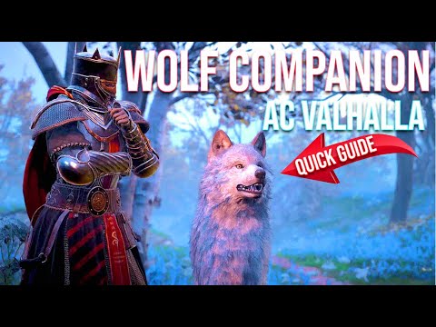 How To Unlock Wolf Ac Valhalla Wolf Companion Quick Guide Youtube