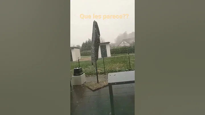 Untitled video