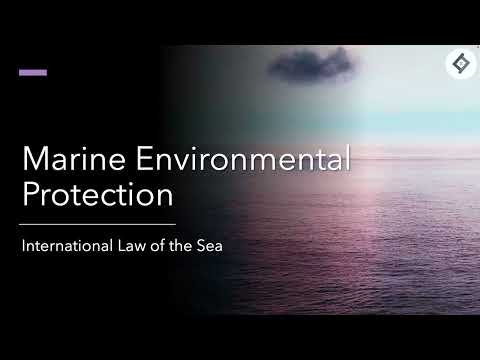 Marine Environmental Protection | International Law of the Sea