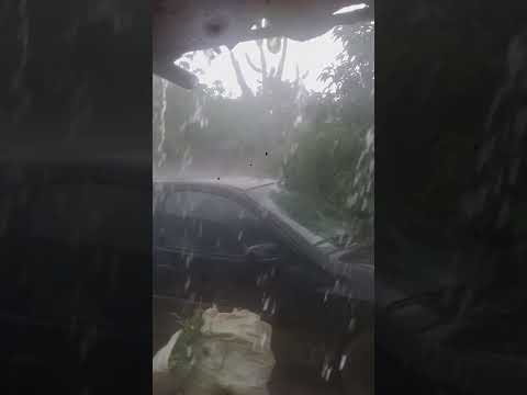 #short#muita chuva na roça