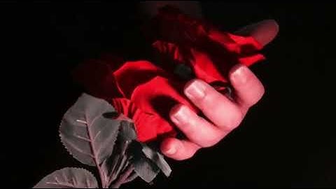 Saturn Magic - Love by Robby Constantine video DOWNLOAD