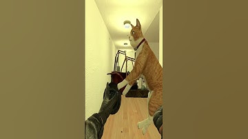 EVIL CLOWN NEXTBOT Is Hunting Me & My Cat In This Hallway 🚗🐱