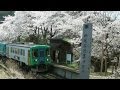 樽見鉄道と淡墨桜 の動画、YouTube動画。