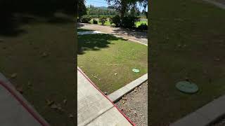 Baby Grass
