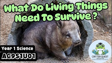 What Do Living Things Need? | Year 1 Science AC9S1U01 – Air, Water, Food, Shelter & Habitats