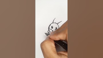 HOW TO DRAW WASP - WASP DRAWING TUTORIAL