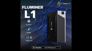 The FLUMINER L1 doge and litecoin miner