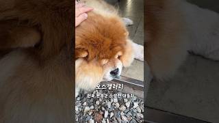 오스갤러리