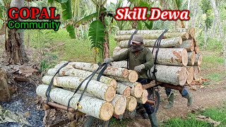 Ojek Kayu Palang Blitar Selatan Mengangkut Kayu Sengon Paling Ekstrim di Dunia || Ojek Palang Kayu