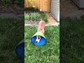 Cynthia video