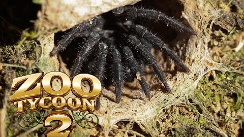 Zoo Tycoon 2: Trapdoor Spider Exhibit Speed Build