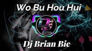Wo Bu Hou Hui   我不后悔  Remix By Dj Brian Bie