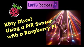 Kitty Disco!  Using a PIR Sensor with a Raspberry Pi