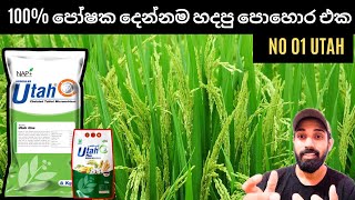 42. කීලේට තාක්ෂණය යොදාගෙන පෝෂක 100% ක් ලබා දී පෝෂක අවශ්‍යතාවය සම්පූර්ණ කරන (Utah Fertilizer) යූටා.