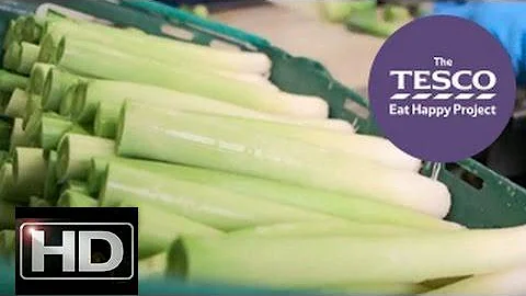 Learn about the Farm to Fork journey of Long Leeks (Trailer)@