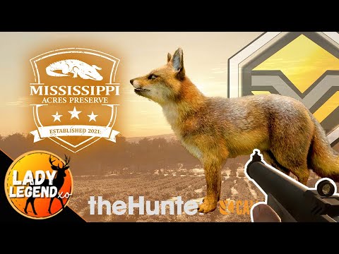 YEEESSSSSSS - Max Weight DIAMOND GREY FOX! - Mississippi Acres Call of the Wild