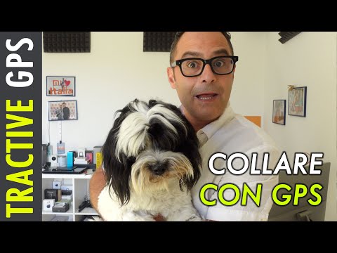 RITROVA il tuo CANE o GATTO con il collare TRACTIVE GPS. Controllo anche l'attività ed il sonno!
