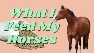 Equestrian POV: What I Feed My Horses  NO GRAIN