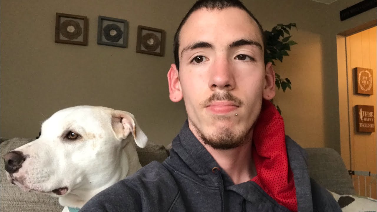 Dog time enjoying a rainy day - YouTube