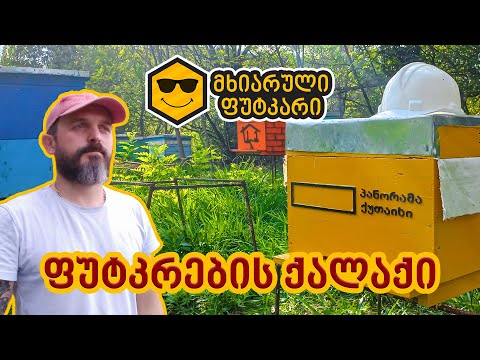 ფუტკრების ქალაქი – პანორამა ქუთაისი