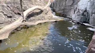 Walk around Sioux Falls