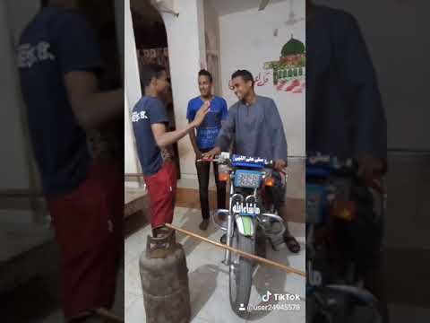 باشا مش هسيبكم