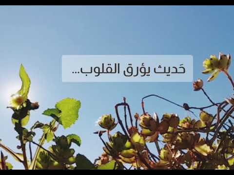 مقطع عظيم بليغ حري بنا أ ن نڪرر سماعه بين الحين والأخر