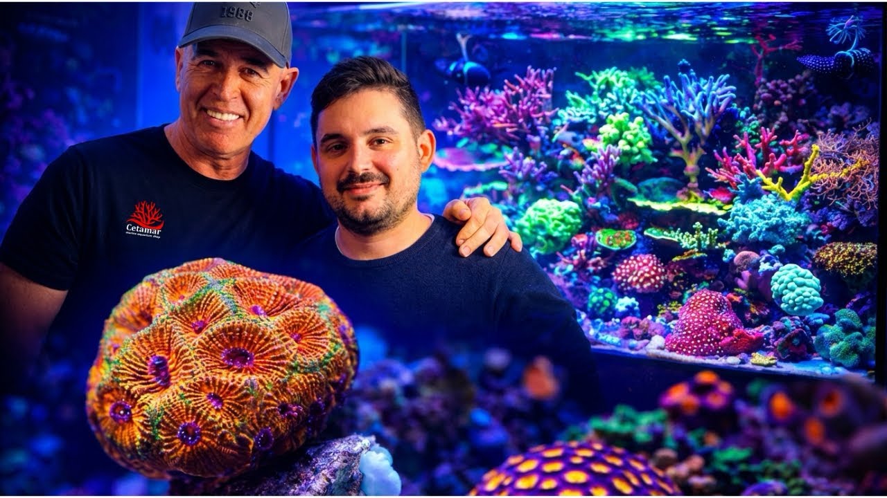 De Ruta por España los Acuarios Marinos más TOP!! 