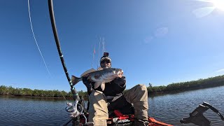 Crystal River Florida Kayak Fishing The Nature Coast  Ozello Back Country