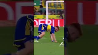 COLO VOLVE