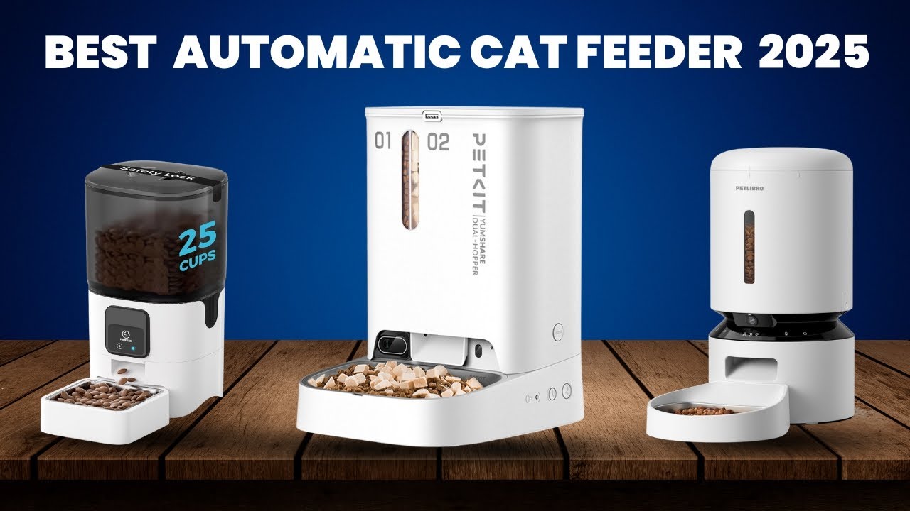 "Never Miss a Meal! Top 5 Automatic Cat Feeders 2025." - YouTube