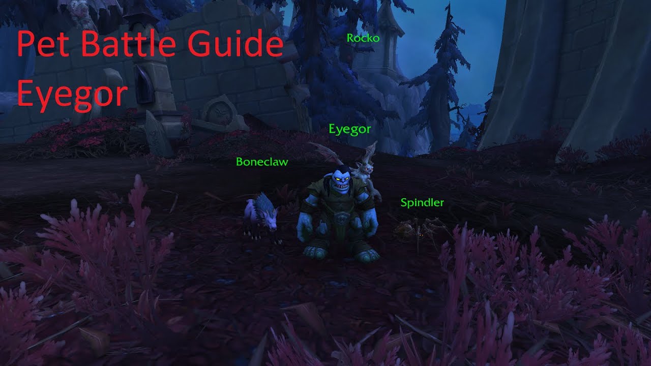 World of Warcraft Shadowland Pet Battle Guide Eyegor YouTube